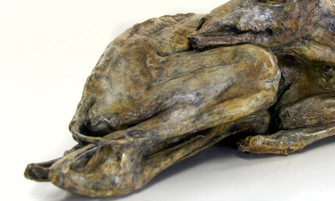 Lera Auerbach, Dreaming of Flying, bronze sculpture, object study 2